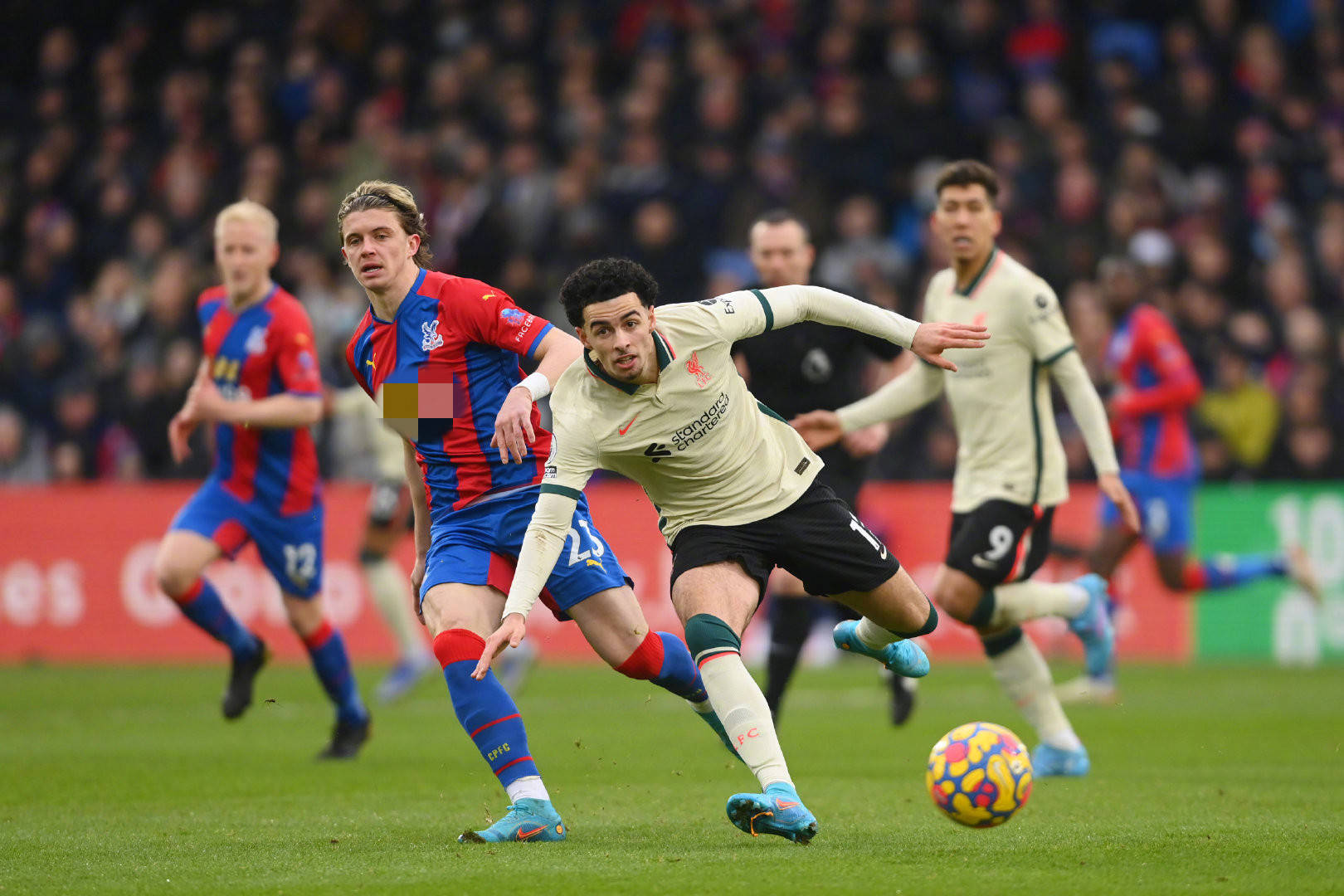 果便是吉布 果便是吉布